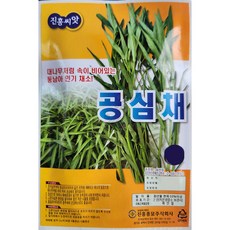 공심채 쌈채소씨앗 10g 진흥 23년, 1개