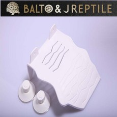 레이저백거북이