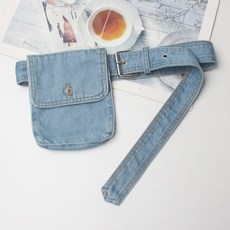 디올새들벨트백