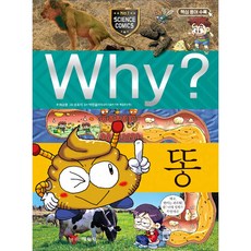 Why? 똥, 단품