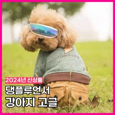 스몰티즈 강아지고글 포인트 애견선글라스, 1개, 포인트 블루 - 스몰티즈