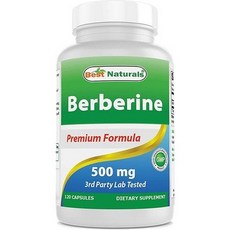 베스트 Naturals Berberine 500mg 120 캡슐 - 면역 기능 심혈관 위장 기능 지원, 120정, 1개