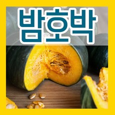 밤호박 씨 30립 단호박 씨앗 종자판매 파종재배, 1개