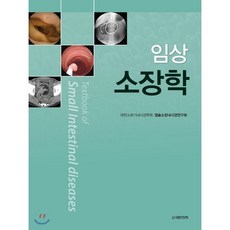 캡슐내시경