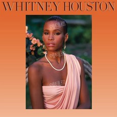 휘트니 휴스턴 LP VINYL 레코드 앨범 Whitney Houston LP판, 기본 - 웅산사랑그그리움lp