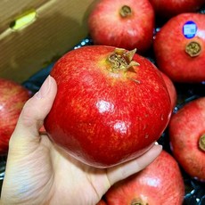 석류 2.5kg, 상세페이지 참조, 1개