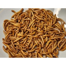 밀웜 500+500마리 고슴도치 햄스터 미어캣 소동물 먹이 간식, 중, 밀기울 450g 요청