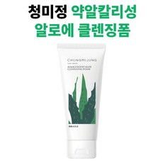 청미정클렌징폼
