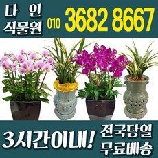 6b51f6c9f6fe8252ac7a49d915b2d5177e49bb276ffd6a56a4edc8a8d60e.jpg