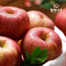 [열매나무] 못난이 사과 2kg 8-11과, 1개