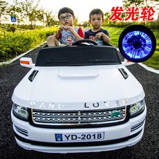 2인용전동카