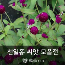 27a5d8bb11fda8121ac22fc8d5cca35b8b0eb9412e2031ef366d7bd8839f.jpg