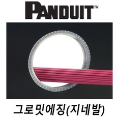 팬듀이트