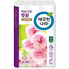 깨끗한나라벚꽃