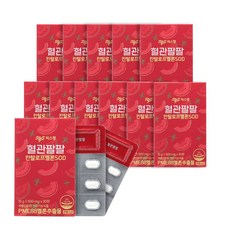 씨스팡 혈관팔팔 칸탈로프 멜론 SOD, 30정, 6개월분(12박스)