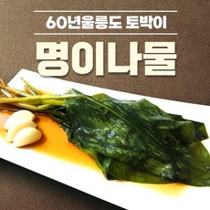 [60년울릉도토박이] 국산 울릉도 명이나물 장아찌 국산 자연산 명이나물절임 짱아찌
