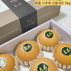 나주배 명품 세트 5kg, 1개, 명품나주배세트5kg(8과-10과)