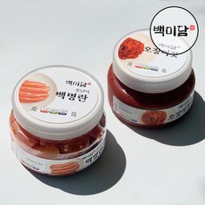 오징어젓갈+ 파지명란젓갈 젓갈 반찬세트, 250g, 2개