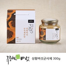 상황 버섯 가루 뽕나무 상황버섯 자연산 목질진흙버섯 분말 찔레상황버섯 린테우스 베타글루칸 상황버섯차 효능 먹는법