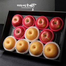 [과일愛]사과배 선물세트 특A2호 (사과6과배5과 - 4.5kg), 단품