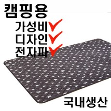 캠핑전기장판
