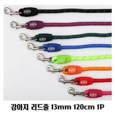 WXX537687버스터 강아지 리드줄 13mm 120cm 1P 목줄 산책줄 강아지목줄 반려동물야외용품, 블랙