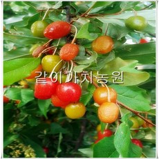 1ac08d62c00cf96711188dff7d9defe4548934bb1b450280c181d09a2bea.jpg