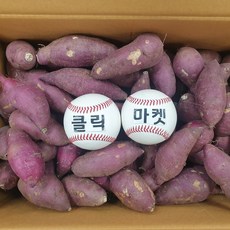 클릭마켓 당일상품 세척 꿀고구마 특품 베니하루카 햇 겨울 고구마 해남 영암 전남, 1개, 1kg