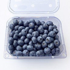 블루베리생과 500g 국산 무농약 블루베리 산지직송 생블루베리 햇블루베리, 1개, 블루베리 500g 특과 (18mm 이상)