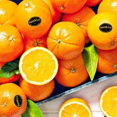 추천3블랙라벨오렌지