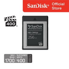 샌디스크 프로페셔널 PRO-CINEMA CFexpress Card VPG400 256GB, 1개