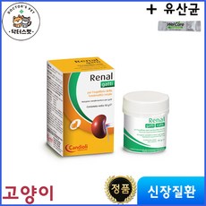 [정품] 레날 캣츠 50g / Renal cats / 신장질환 개선 보조제 / 신부전치료 영양제 / 국내 정식 수입제품 (동물병원전용 정품) + 웰케어 유산균, 1개 - 프롬더셀유레날