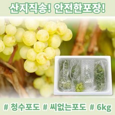 칠레산포도