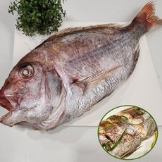 반건조 참돔 자연산 특대 손질 반건조생선, 1마리, 통영 자연산 반건조 참돔 40cm 이상