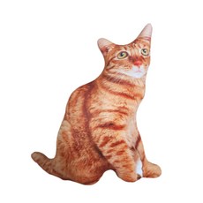 [모사찌] 리얼 고양이 쿠션 혼합색상 귀여운 인테리어 소품 병맛 선물 45cm, 오렌지