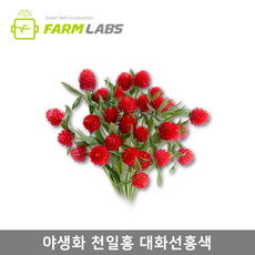 f2ce1ac21a2ec635573c39b4895c23bbdf103a82d2a33ad6b3bd4fd1e06b.png