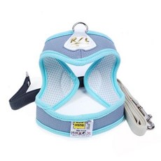 요크셔테리어피지동전