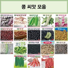 식재삽콩콩이