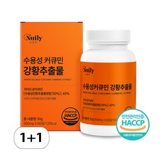 1+1 수용성커큐민 120정 흡수율 높은 하이드로 커큐민 강황 추출물, 2개, 60정