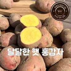 홍감자10kg