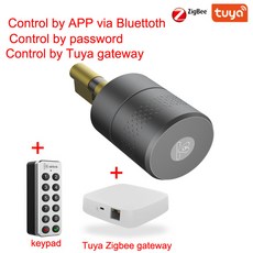 투야지그비모터