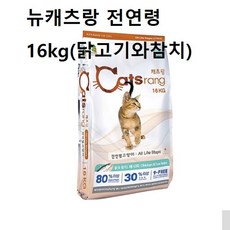 쥬쥬콘도