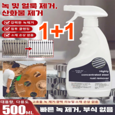 1+1 [빠른 녹 제거] 강력 스테인리스강 녹 제거제 녹제거스프레이, [1+1] 500ML*2개, 2개