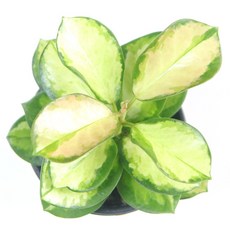 e181405f339e28e0fffd745927076336781e8464985bdce0eae2bb8fddf7.jpg