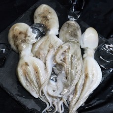  [당일조업] 국내산 태안 서해안 알배기 주꾸미 제철 냉동 NO 생물 활 쭈꾸미 2kg (14~30미 내외)  상품 이미지