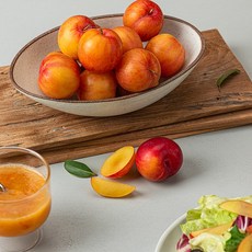 하우스 자두, 2개, 소과 300g