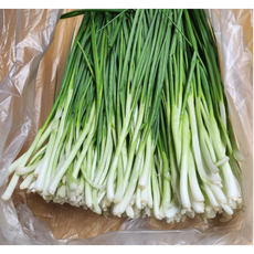 [당일 아침수확] 전라남도 익산 오전 선별 깐 쪽파 알싸하고 달달한 쪽파, 1개, 2kg