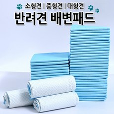 프리미엄 반려견 배변패드 대형 중형 소형 보급형, 1개, 40개입 - 강아지배변패드l