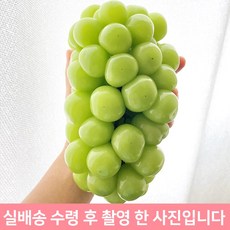 언니네여인숙