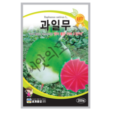 수박무